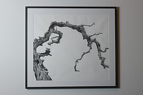 "Bewusstwerdung", Florian Raditsch